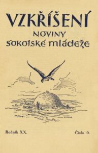 20/06