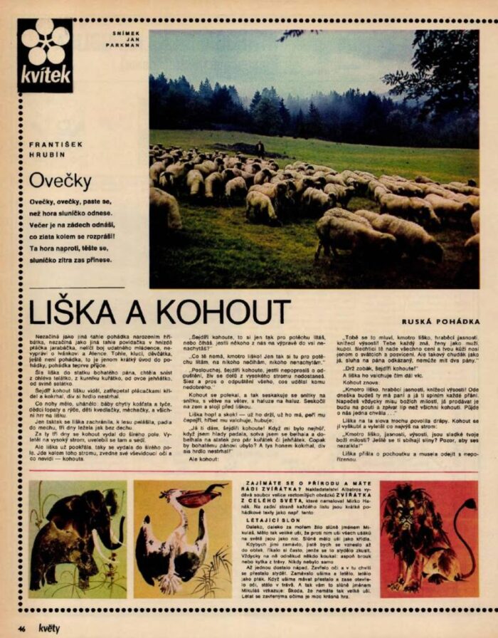 Prvá polovica detskej prílohy časopisu KVĚTY – KVÍTEK 21.ročník