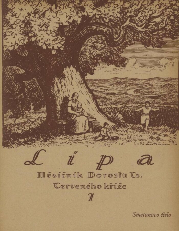 Kompletný 14.ročník časopisu LÍPA