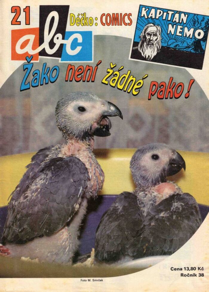 Krok za krokom k uzavretiu 38.ročníka ABC